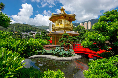移居香港，有才华就可以！！
